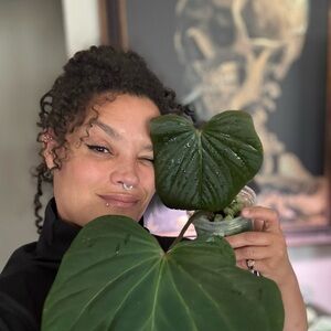 Meet your Posher, Alaura